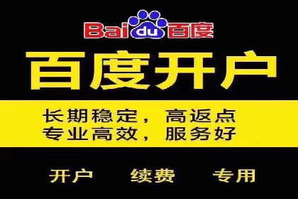 某品牌通过百度SEM提升品牌知名度的实战案例